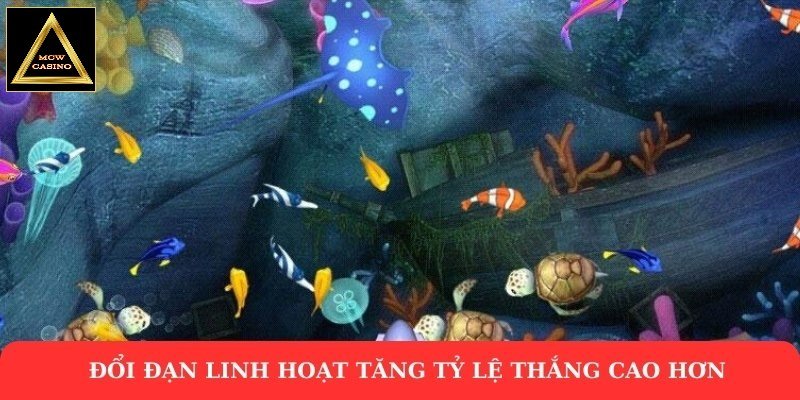 Đổi đạn linh hoạt tăng tỷ lệ thắng cao hơn
