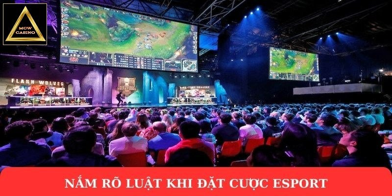 Nắm rõ luật khi đặt cược esport