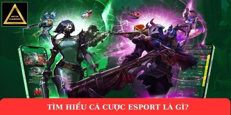 Tìm hiểu cá cược Esport là gì?