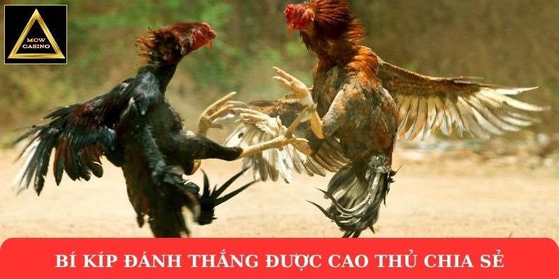 Bí kíp đánh thắng được cao thủ chia sẻ