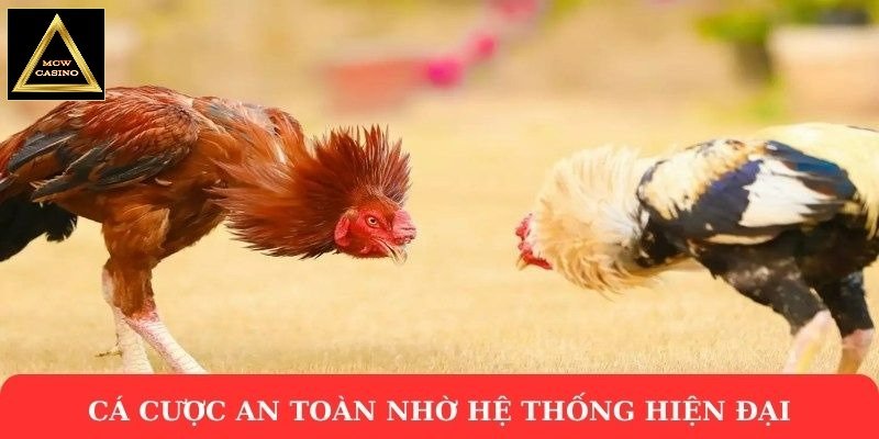 Cá cược an toàn nhờ hệ thống hiện đại