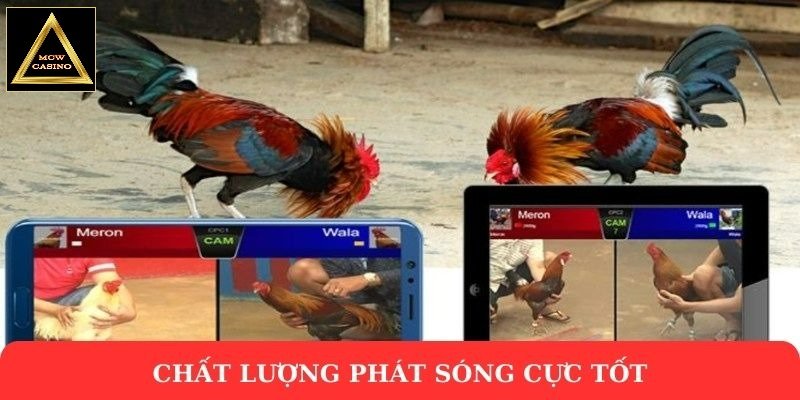 Hình thức cá cược rất được ưa chuộng