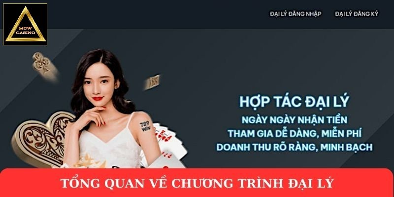 Tổng quan về chương trình đại lý