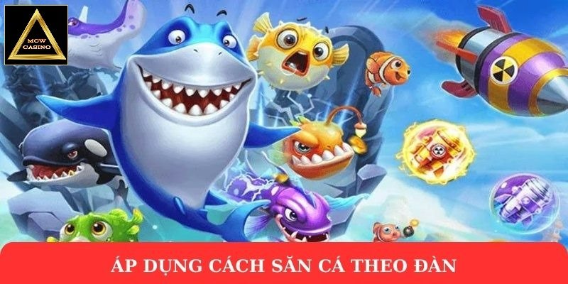 Áp dụng cách săn cá theo đàn