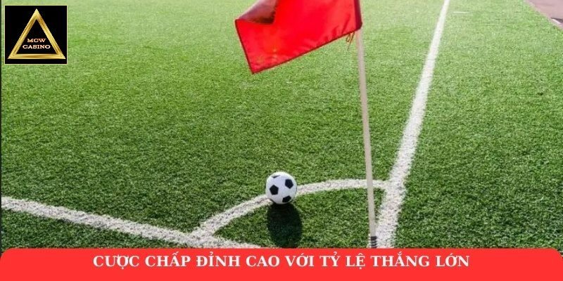 Cược chấp đỉnh cao với tỷ lệ thắng lớn